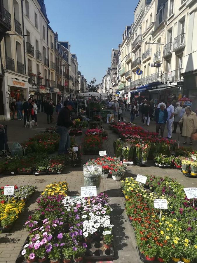 Bienvenue Sous Les Toits De Dieppe *** Hypercentre Eksteriør bilde